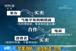 滯銷的4000萬斤蘋果與果農(nóng)的無奈抉擇