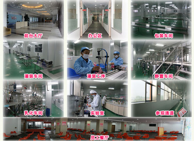 襄陽維美生物科技 專業(yè)計(jì)算機(jī)及辦公設(shè)備維修服務(wù)